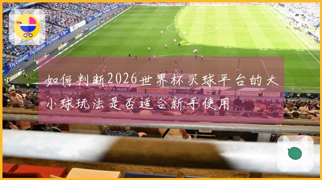 如何判断2026世界杯买球平台的大小球玩法是否适合新手使用